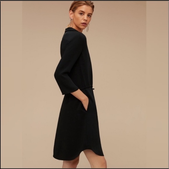 Aritzia- Babaton Dress - Picture 2 of 4